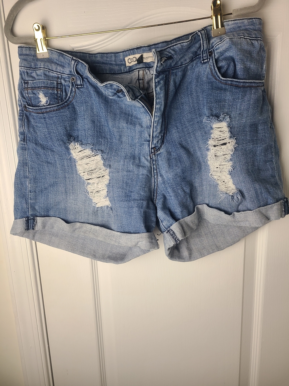 Light Blue Distressed Denim Shorts | Size 1X